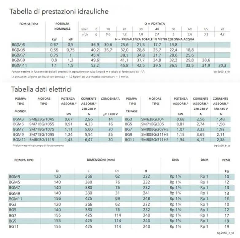 Elettropompa Autoadescante Centrifuga Lowara BGM7/C HP 1 Monofase 0,75 Kw