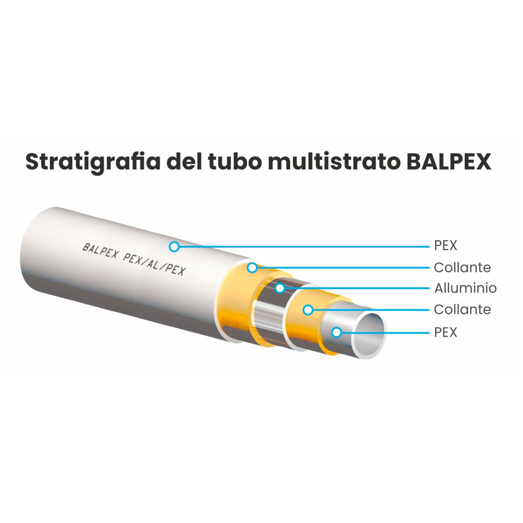 Multistrato nudo Bampi Balpex a rotoli