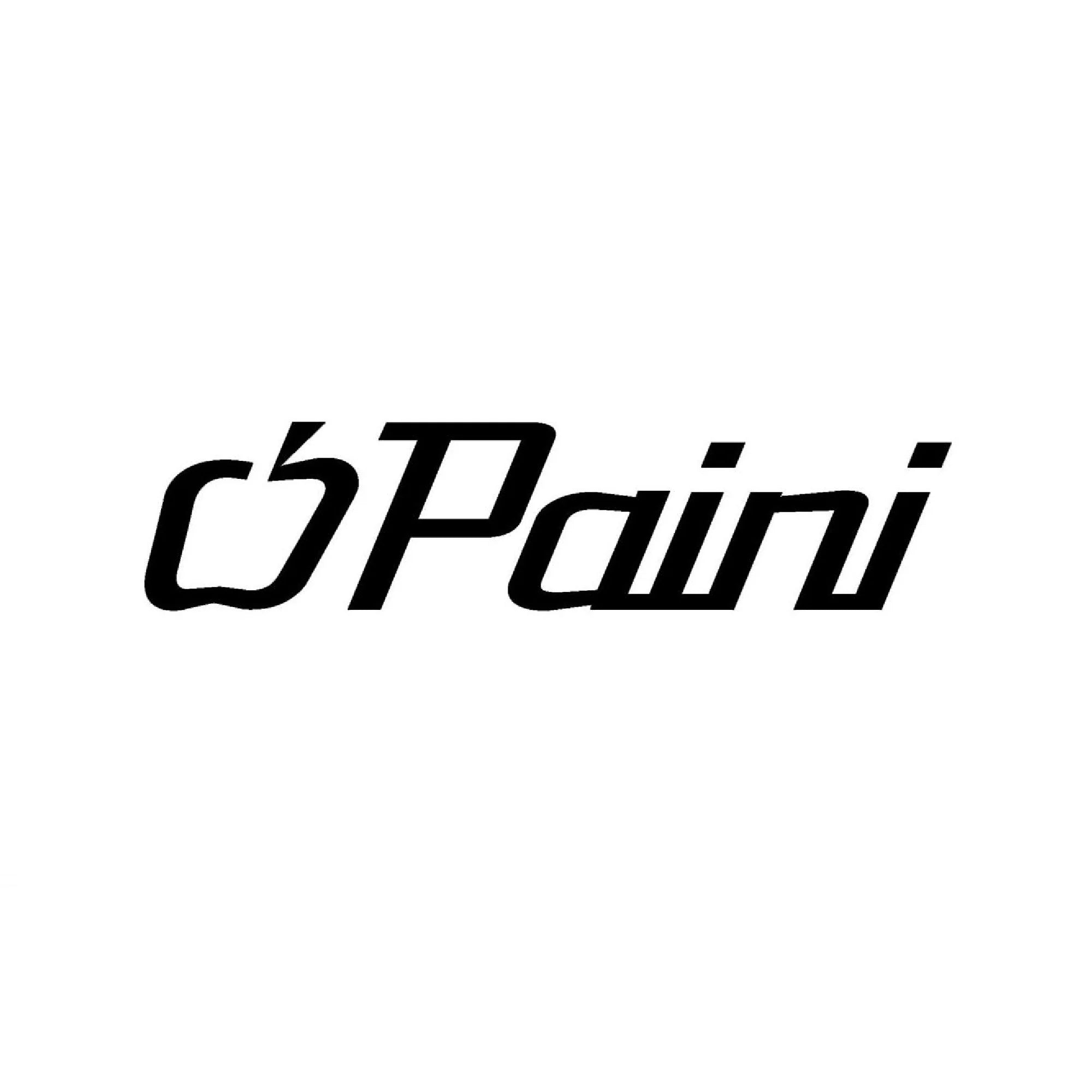 Paini